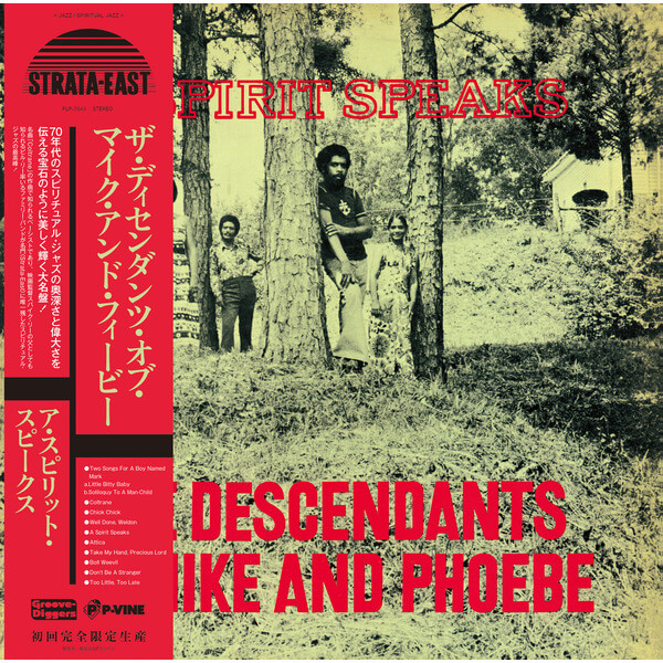 The Descendants Of Mike And Phoebe - A Spirit Speaks - LP