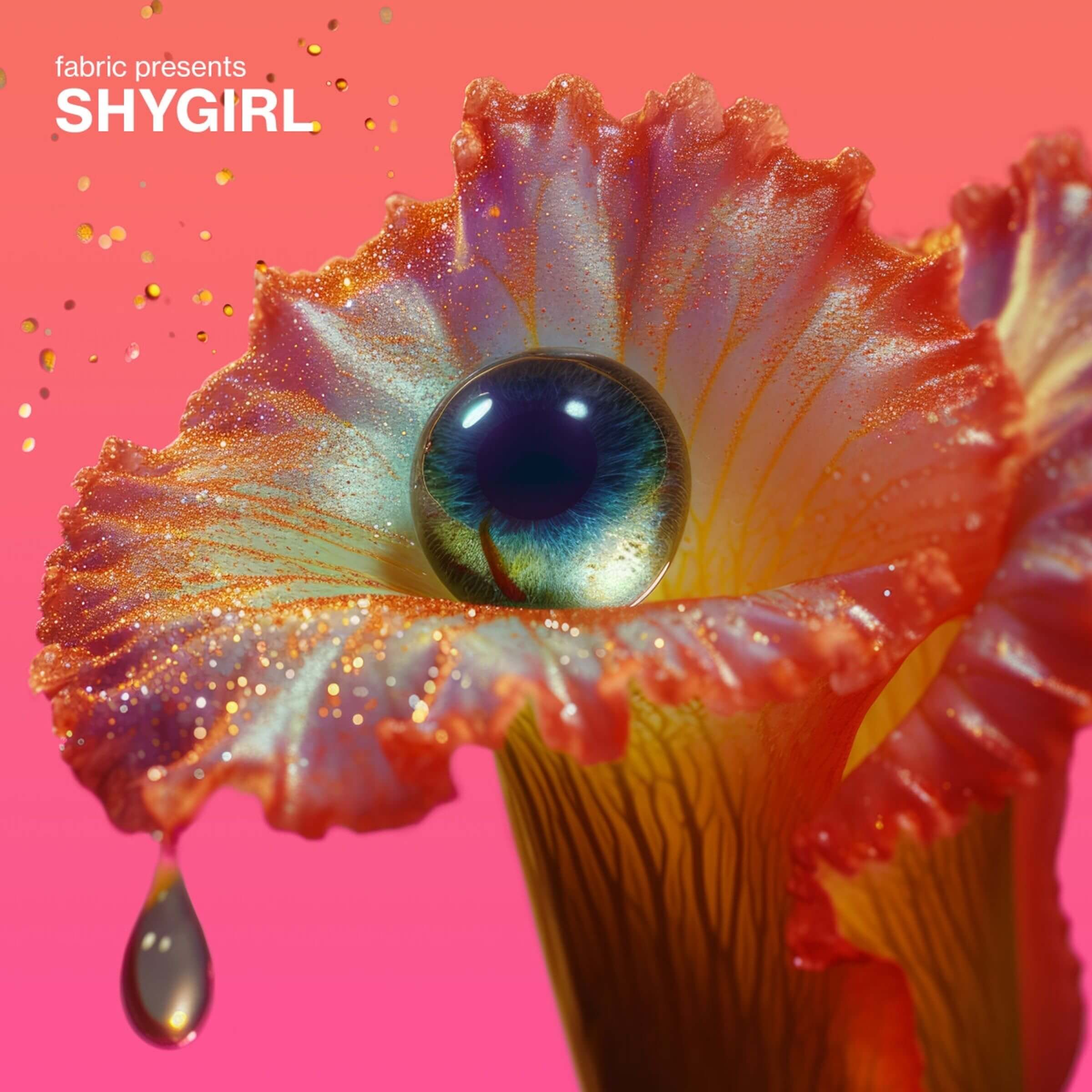 Fabric Presents: Shygirl - Cd