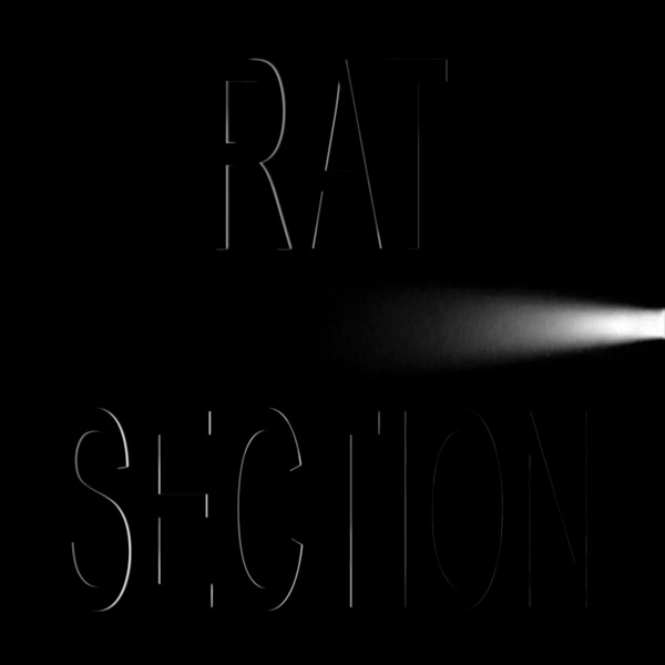 Rat Section - What Stays In Vegas - CD