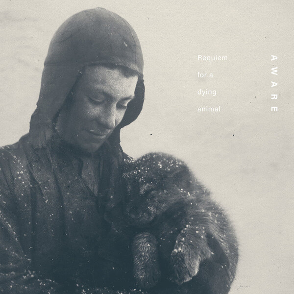 Aware - Requiem For A Dying Animal - CD