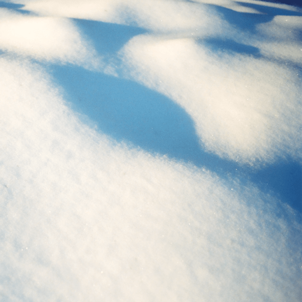 Flore Laurentienne - 8 Tableaux - LP