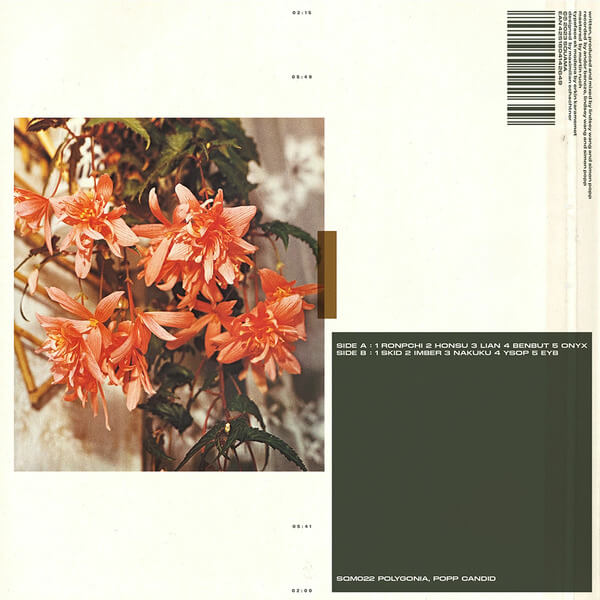 Polygonia, Popp - Candid - LP