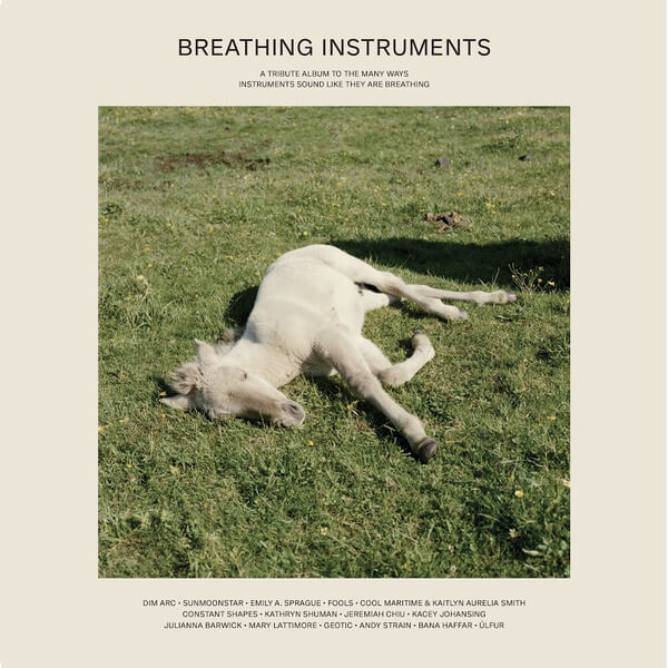 VA - Breathing Instruments - 2LP