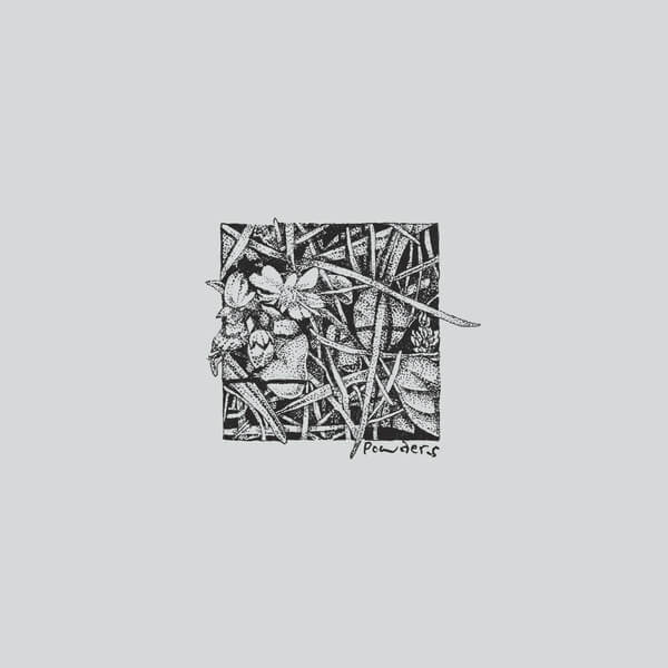 Powders - Concede to Circumstance - LP