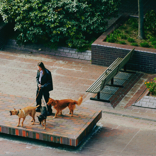 SAINT DX - Way Back Home - LP