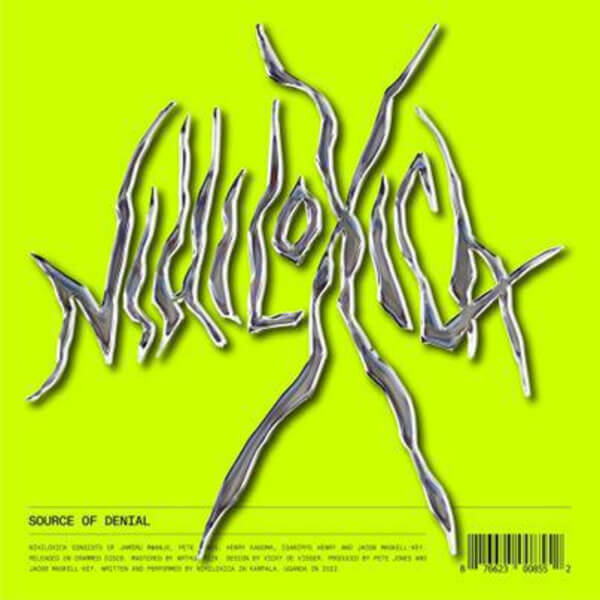 Nihiloxica - Source Of Denial - LP