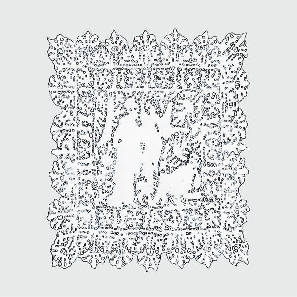 VA - Always + Forever - LP