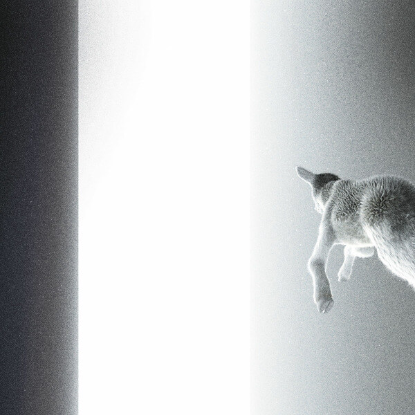 Panoram - Keep Looking Where The Light Comes From - LP