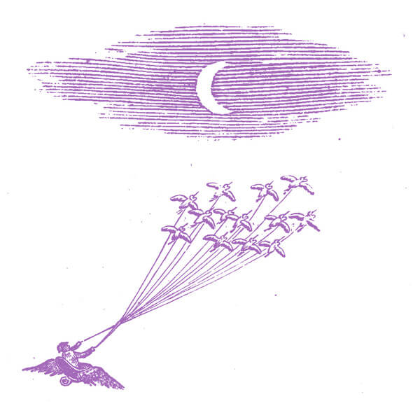 Feeling Figures - Migration Magic - LP