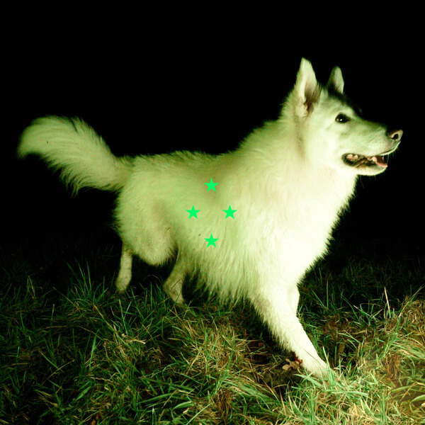 Real Farmer - Compare What’s There - LP