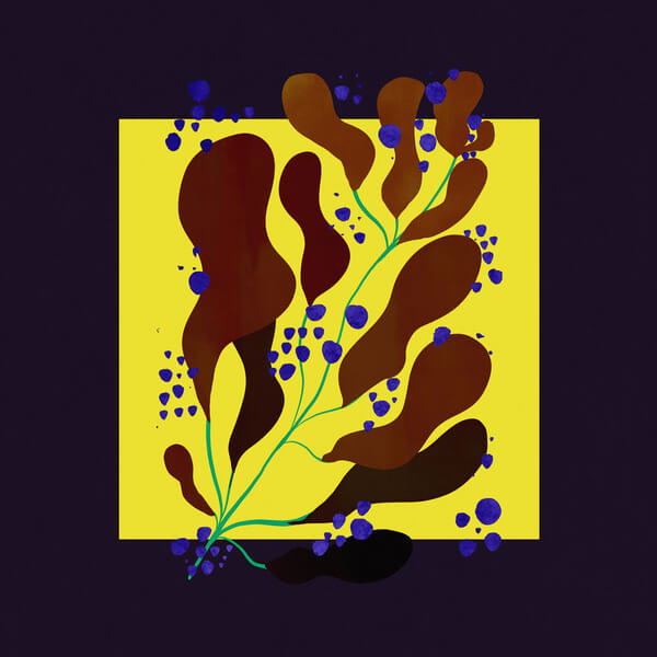 Salamanda - In Parallel - LP