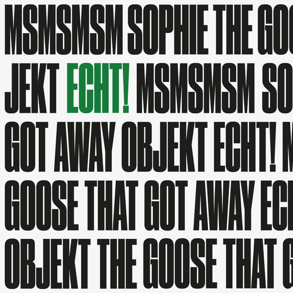 Echt! - Msmsmsm / The Goose That Got Away - 7"
