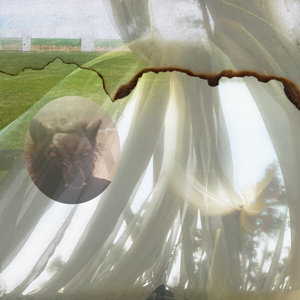 Credit Electric - six - CD