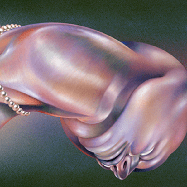 Walt Disco - The Warping - LP