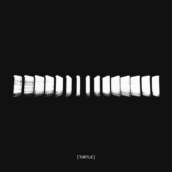 Turtle - Landmass - LP