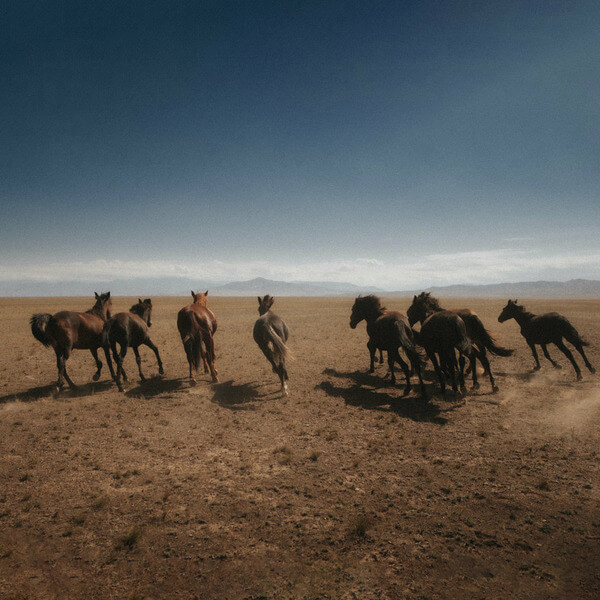 Dan Shake - Verde EP - 12"