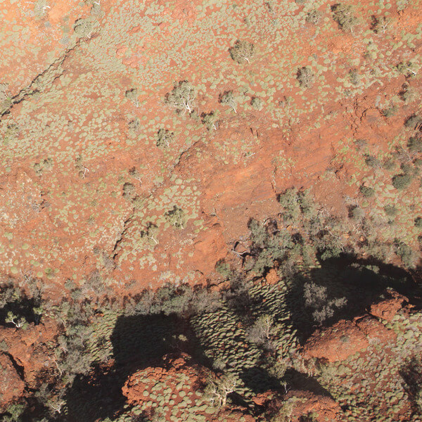 Lawrence English / Werner Dafeldecker - Tropic of Capricorn - LP