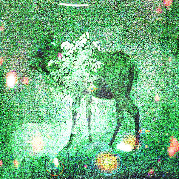 Ghost Lemurs - Wombs And Alien Spirits - LP