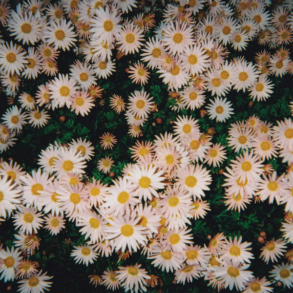 Bad Bad Hats - Bad Bad Hats - CD