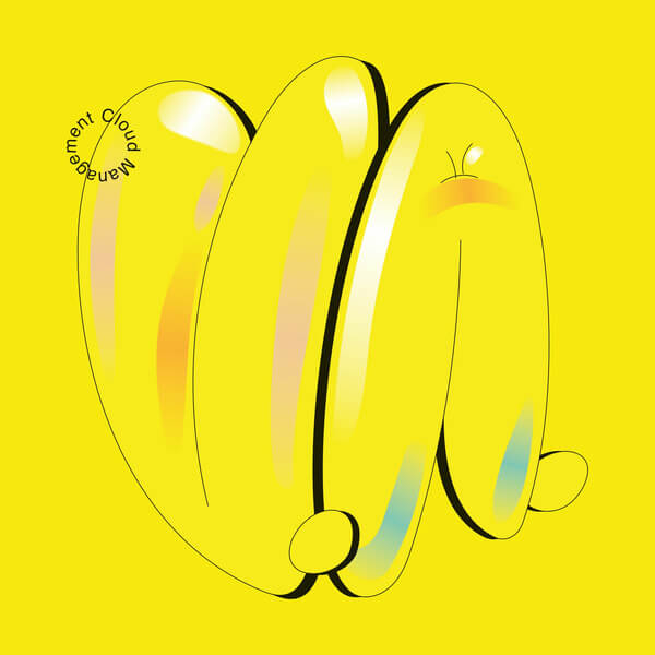 Cloud Management - V.A. - LP