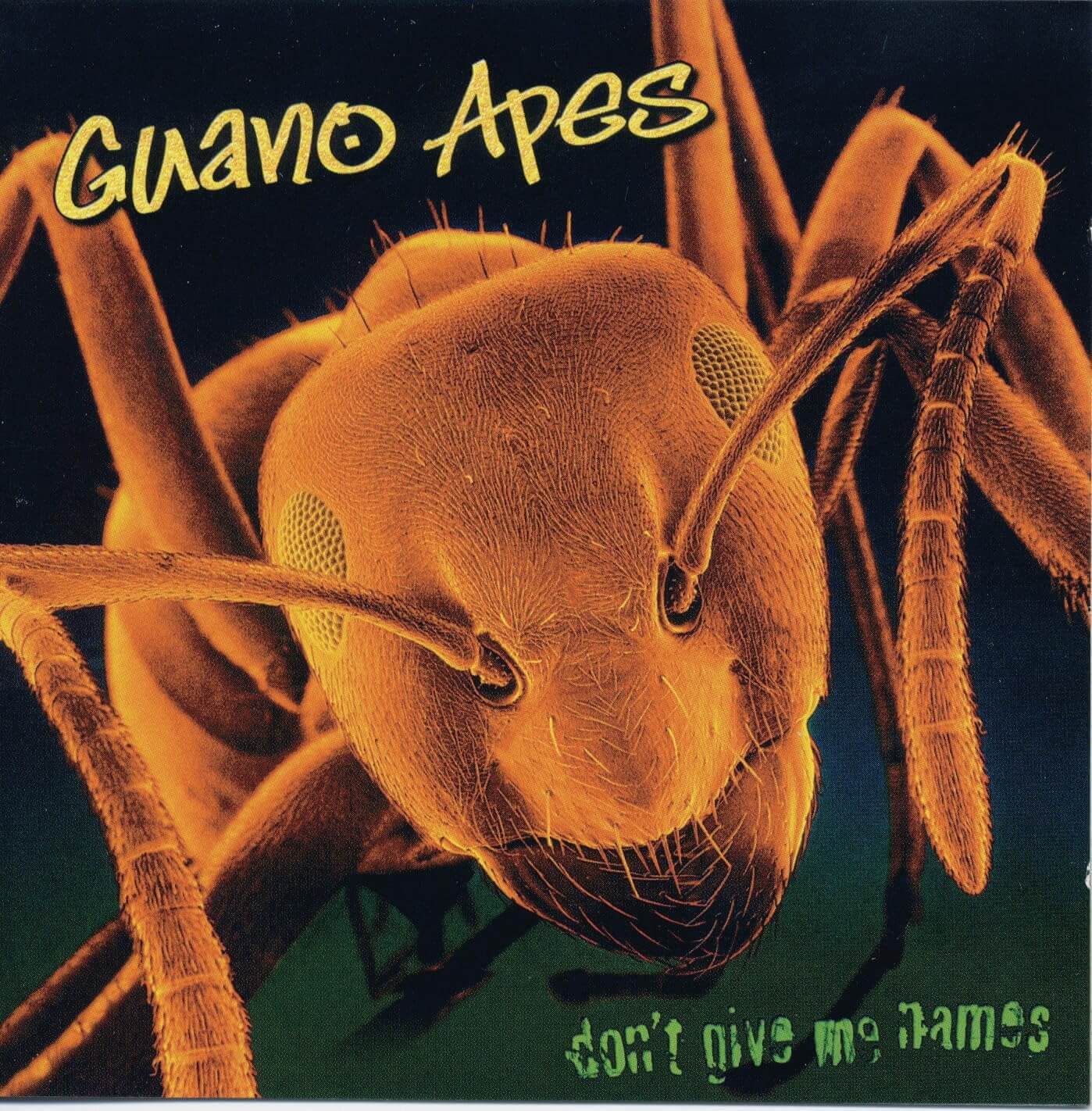 Guano Apes - Don't Give Me Names - Vinyl LP
