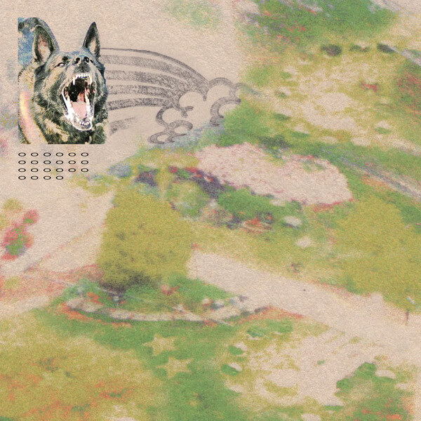 Feeble Little Horse - Girl With Fish - LP