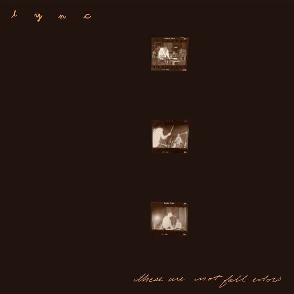 Lync - These Are Not Fall Colors - 2LP