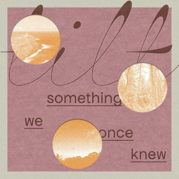 Tilt - something we once knew - LP