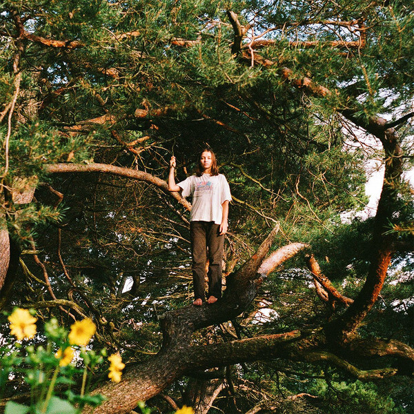 Packs - Melt The Honey - CD