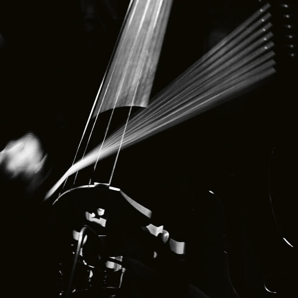 Arnold Dreyblatt & The Orchestra of Excited Strings - Resolve - LP