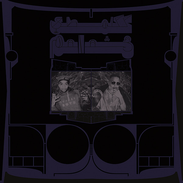 Shabazz Palaces - Exotic Birds of Prey - LP