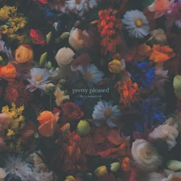 Like A Motorcycle - Pretty Pleased - LP