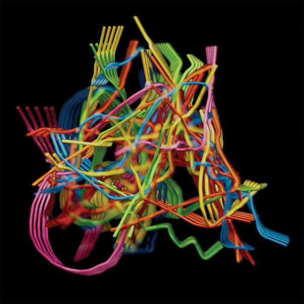 Dustin Wong - Perpetual Morphosis - CD