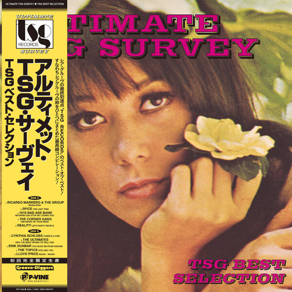 VA - Ultimate TSG Survey - TSG Best Selection - LP
