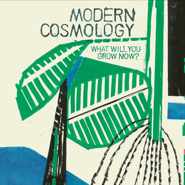Modern Cosmology - What Will You Grow Now? - LP