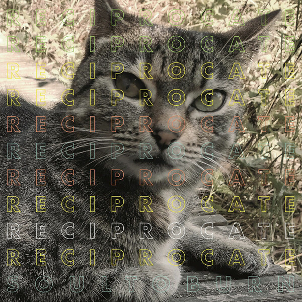 Reciprocate - Soul To Burn - LP