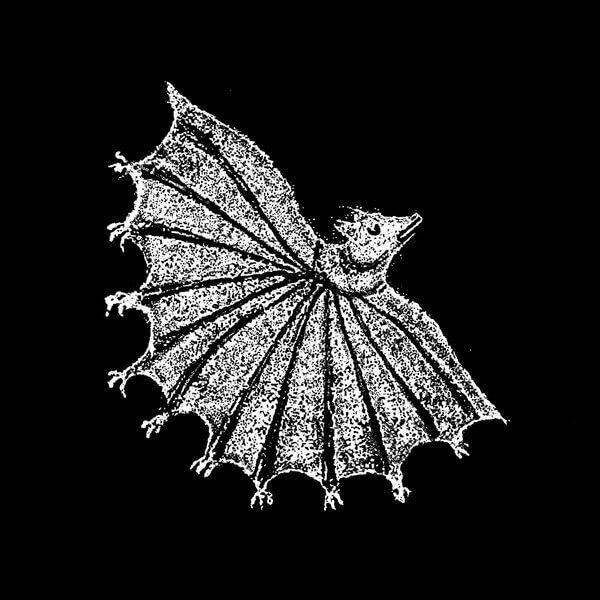 Xiu Xiu - Ignore Grief - LP