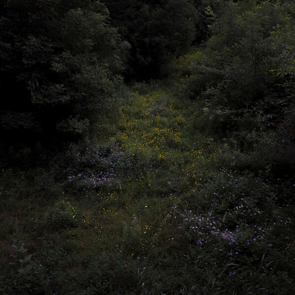 Fireworks - Higher Lonely Power - LP