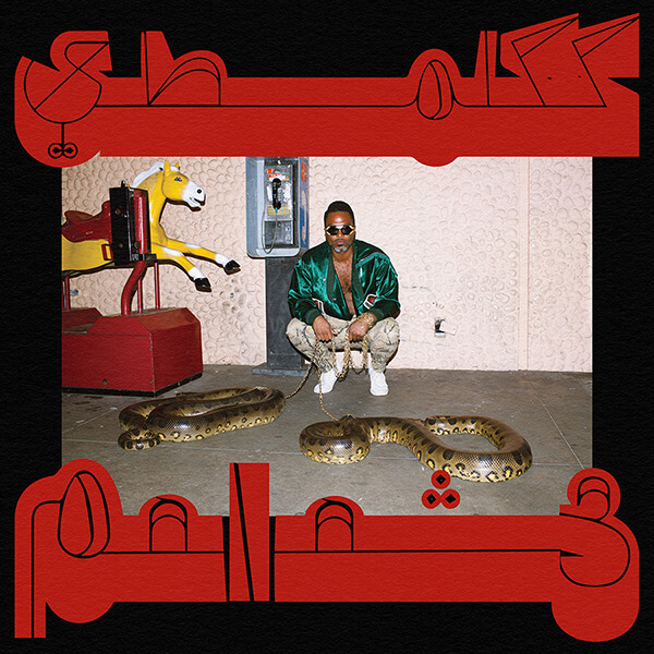 Shabazz Palaces - Robed In Rareness - LP