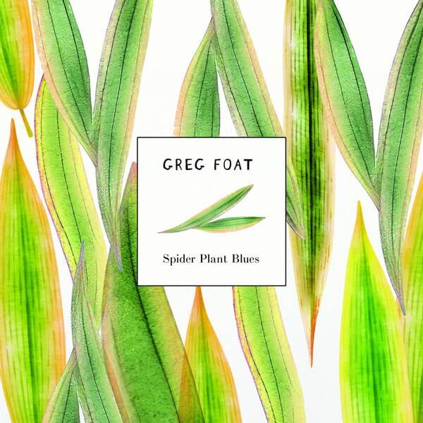 Greg Foat - Spider Plant Blues - 7"