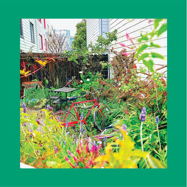 The Reds, Pinks and Purples - Unwishing Well - CD