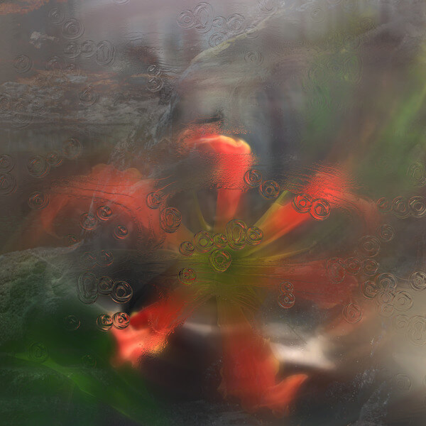 upsammy - Germ in a Population of Buildings - LP