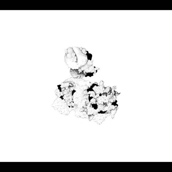 Anna Webber & Matt Mitchell - Capacious Aeration - CD