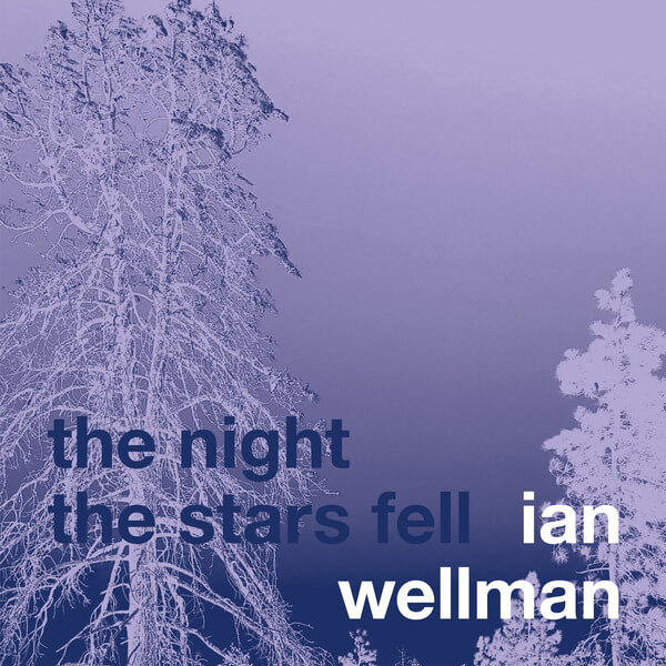 Ian Wellman - The Night the Stars Fell - CD
