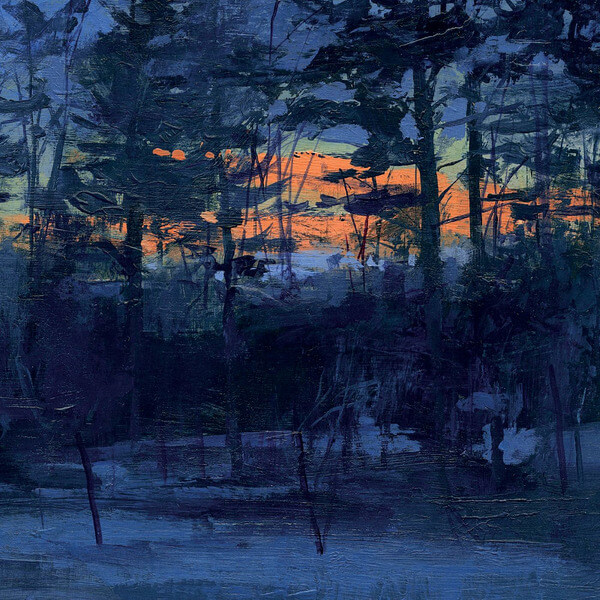 Animal Hospital - Shelf Life - LP