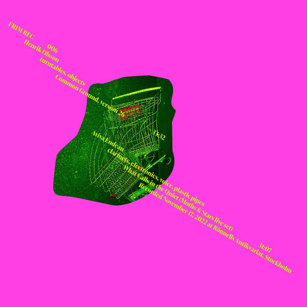 Aviva Endean & Henrik Olsson - Split Series Vol. 2 - CD