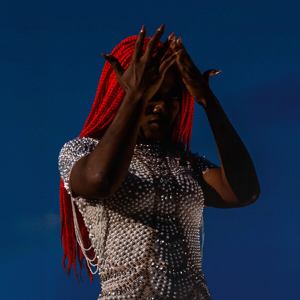 Aunty Rayzor - Viral Wreckage - LP