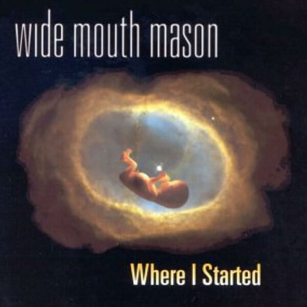Wide Mouth Mason - Where I Started - LP
