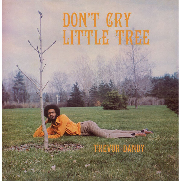Trevor Dandy - Don't Cry Little Tree - CD