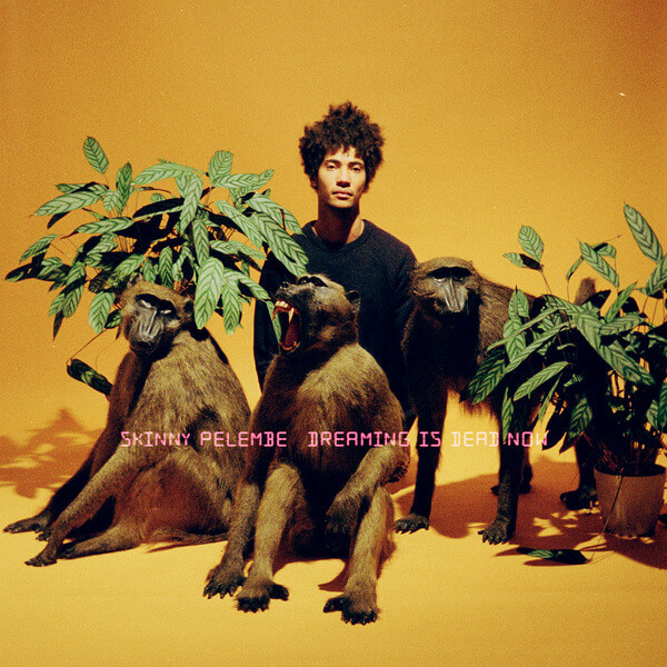 Skinny Pelembe - Dreaming Is Dead Now - CD